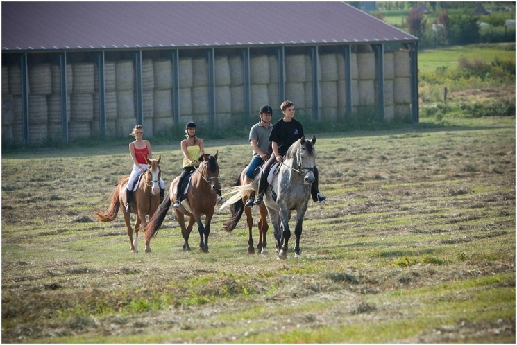 Lovas hétvége Móron, várjuk lovagolni a gyerekeket a Hétkúti Wellness Hotelben!