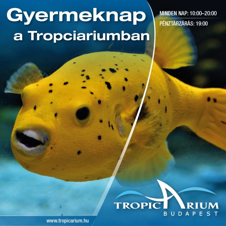 Gyermeknap Tropicarium 2026 Budapest
