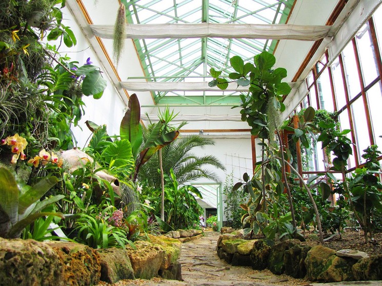 Pálmaház Keszthely