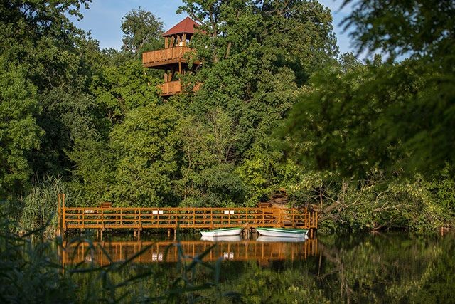 Erzsébet-ligeti Lombkorona Sétány és Kilátó Gyomaendrőd