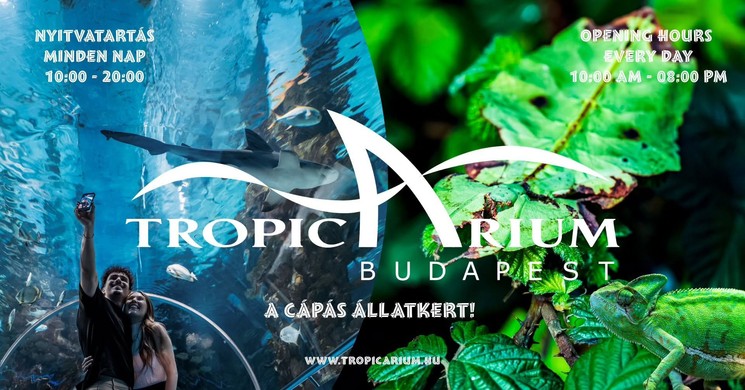 Tropicarium Budapest - Cápás állatkert