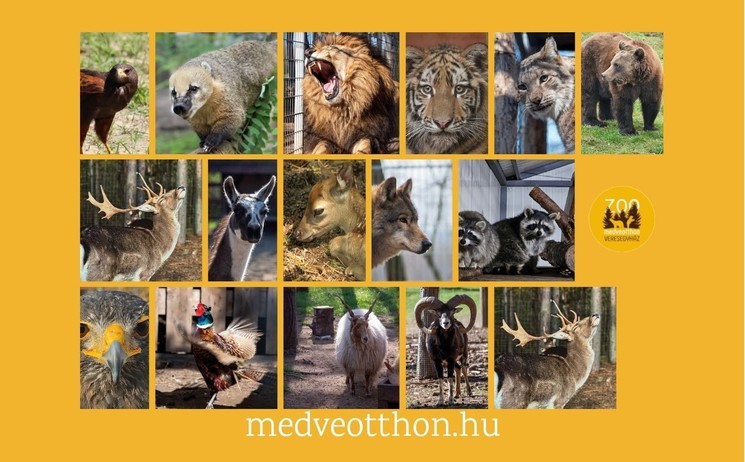 Veresegyházi Medveotthon