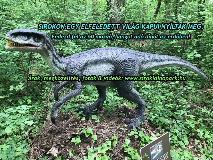 Dinó Park Sirok