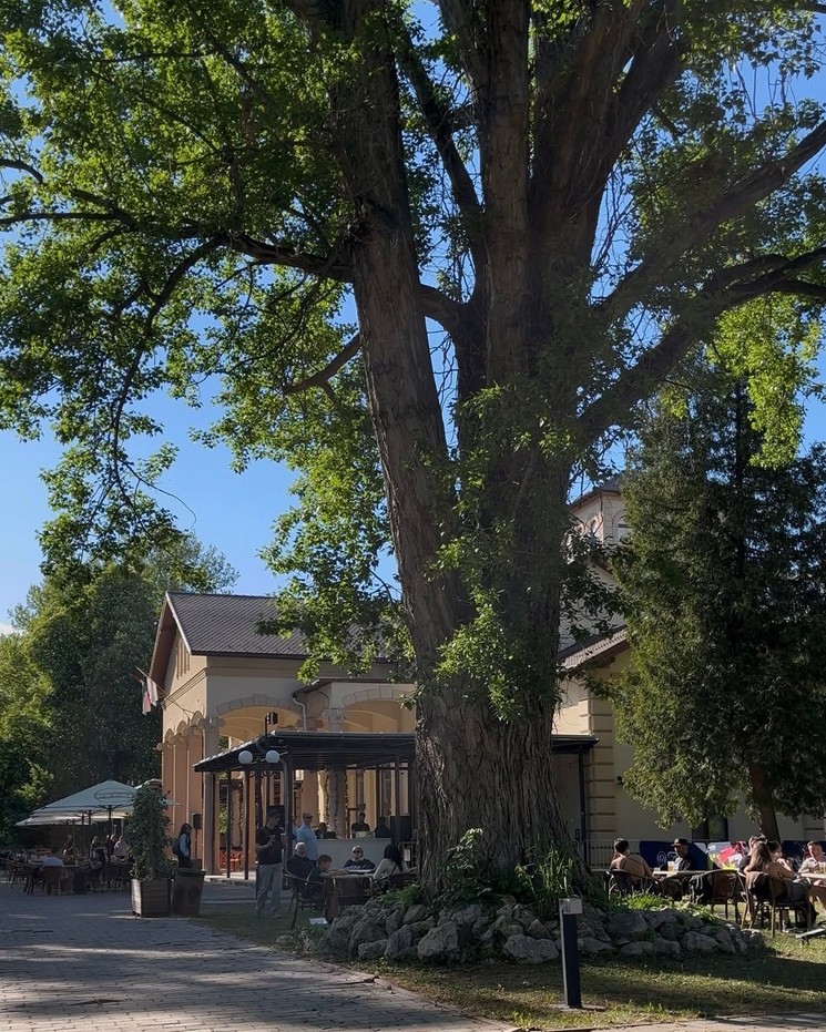 Holdudvar Margitsziget