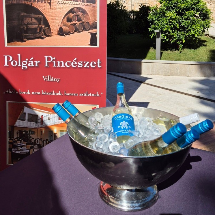 Polgár Pince Villány