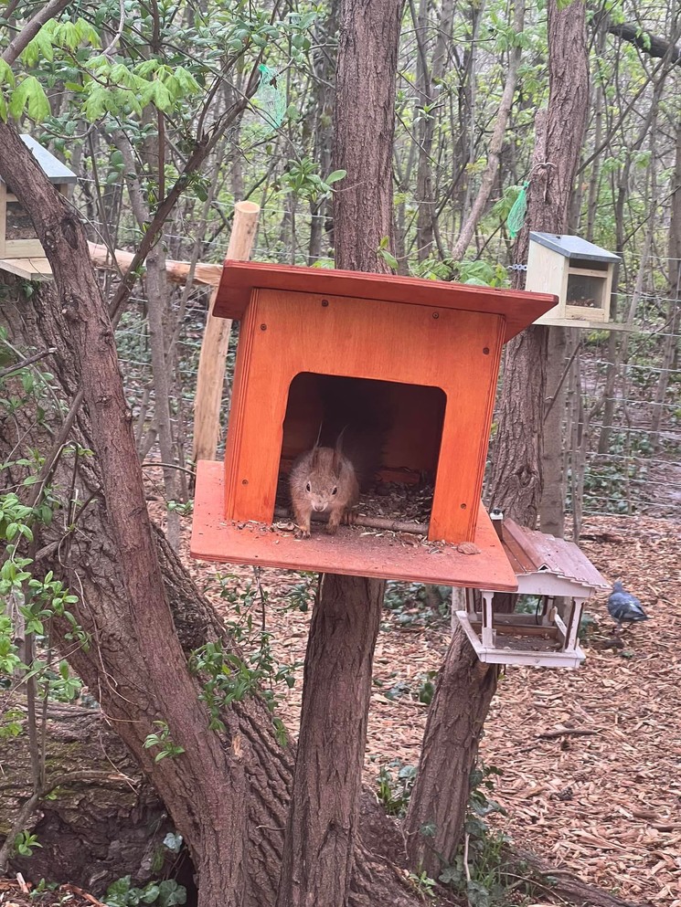 Mókaliget Mókus- és Madárpark Újpest