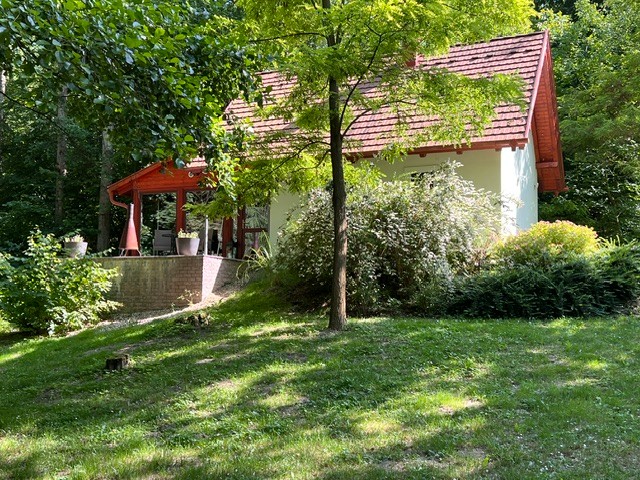 Erdei Kuckó Bakonyjákó