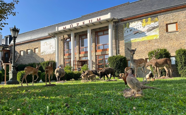 Vadászati Múzeum Keszthely