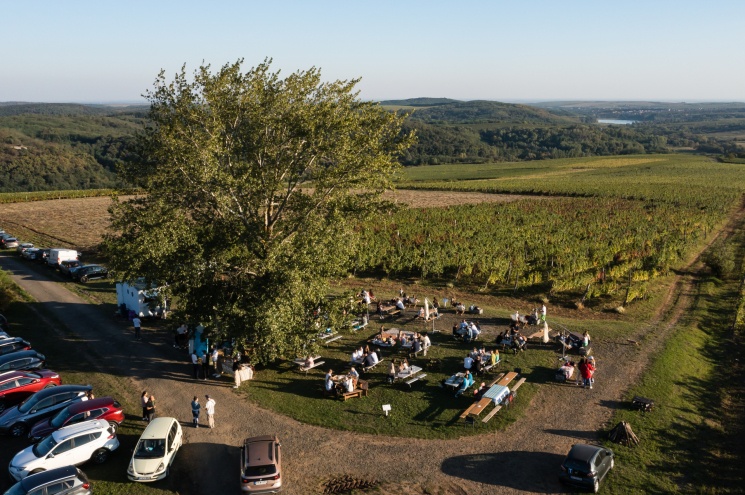 Tóthék a Síkhegyen