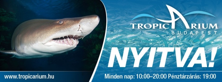 Tropicarium Budapest - Cápás állatkert