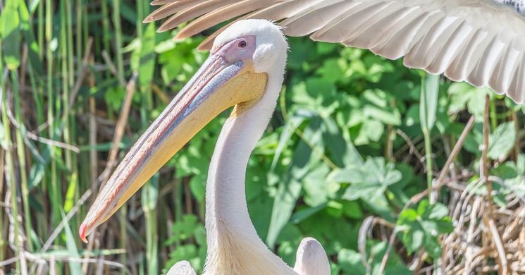 Nagycsaládos Hétvége Poroszló 2026 Tisza-tavi Ökocentrum