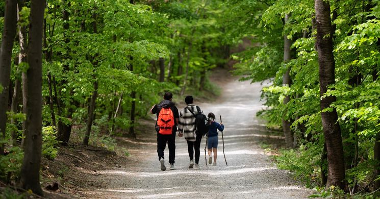 Meteor Természetbarát Turista Egyesület Kaposvár programok 2026
