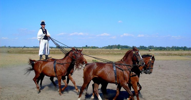 Bugaci programok 2026 - Események és rendezvények