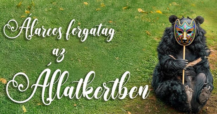Állatkerti Mackófesztivál 2026 - Maszkabál az Állatkertben!