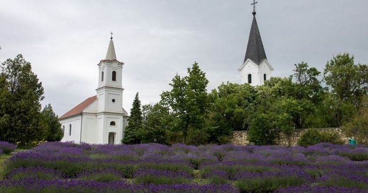 Balatonakali programok 2026. Események, rendezvények