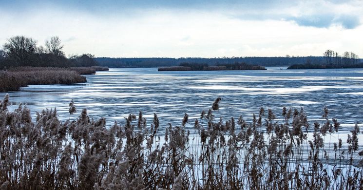 Kis-Balaton programok 2026