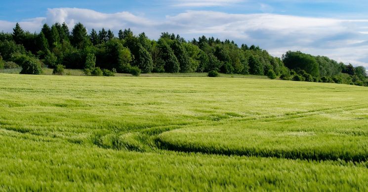 Mezőgazdasági expo 2026. Agrárkiállítások és vásárok