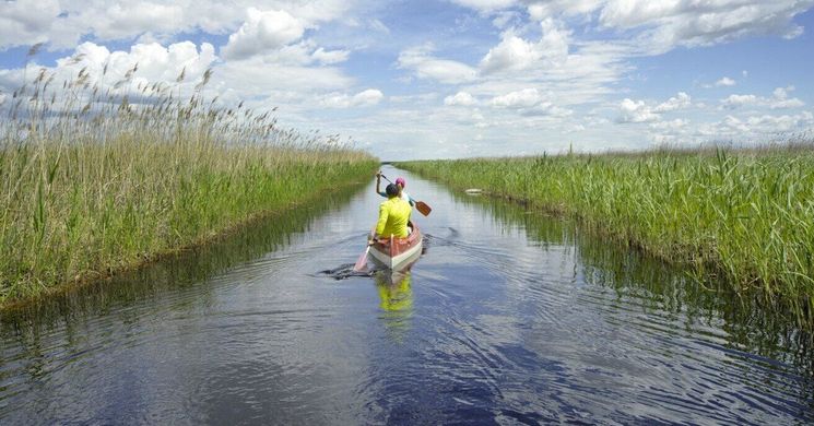 Balf programok 2026 - Események, rendezvények