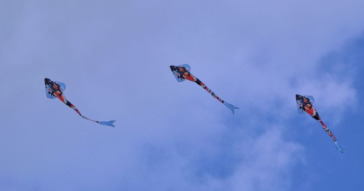 Szent György-napi Sárkányeregetés Békéscsaba