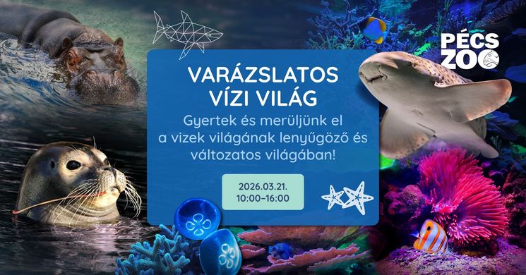 Víz Világnapja Pécs 2026. Víz világnapja programok a PécsZoo-ban