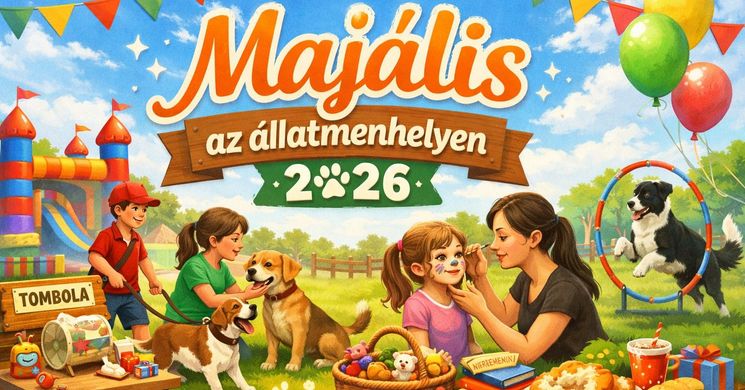 Majális Balatonszabadi 2026 - Majálisozz idén is az állatmenhelyen!