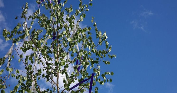 Csorvás Majális 2026