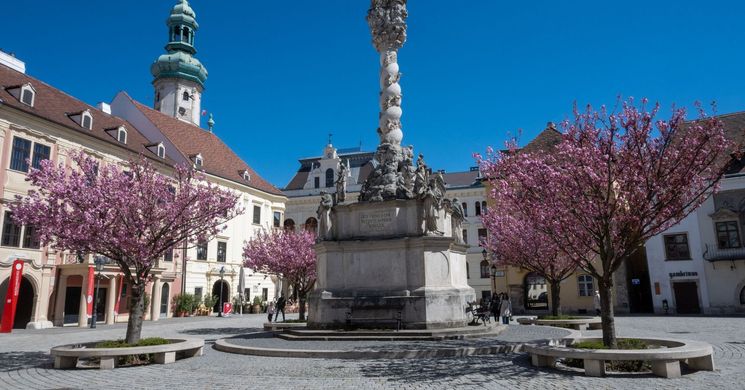 Pünkösdi hosszú hétvége Sopronban és környékén 2026 – Borünnep, tematikus séták és ünnepi programok