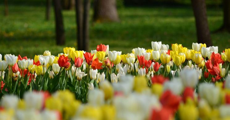 Nemzeti Botanikus Kert programok 2026 Vácrátót