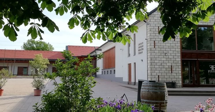 Fülesbagoly Fesztivál 2026 Martonvásár