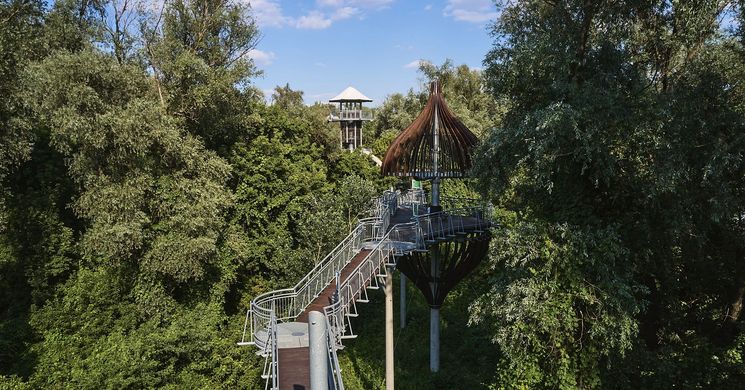 Lombkorona sétány és kilátó túra, kaland, élmény, szórakozás