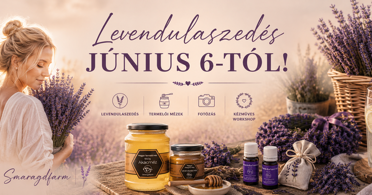 Levendula szedés Daruszentmiklós 2026