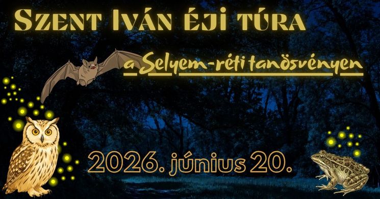 Szent Iván-éji túra Ócsa 2026 - Az éjszakai erdő