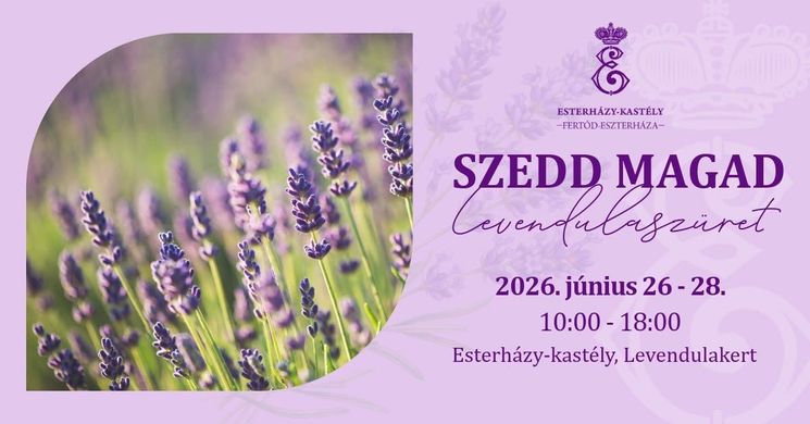Levendulaszüret Fertőd 2026
