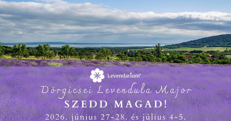Levendula szedd magad 2026 Dörgicse