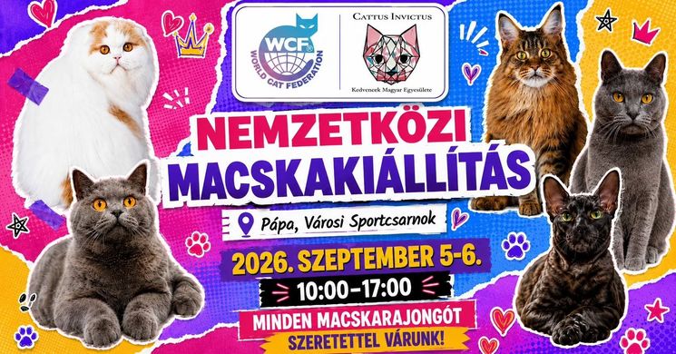 WCF Nemzetközi macskakiállítás 2026 Pápa