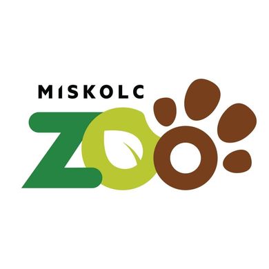 Miskolci Állatkert és Kultúrpark programok 2026