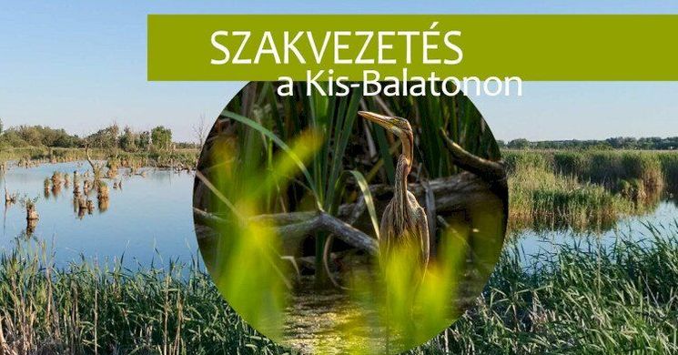 Kis-Balaton túrák szakvezetéssel 2026