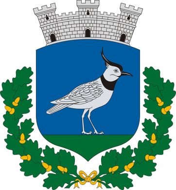 Nagybajomi Városnapok 2026 - Jubileumi Városnapok