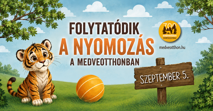 Családi nap Veresegyház 2026 - Nyomozós játék a Medveotthonban