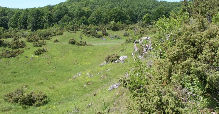 Olasz-kapui tanösvény Szilvásvárad, ökotúra a Bükki Nemzeti Parkban