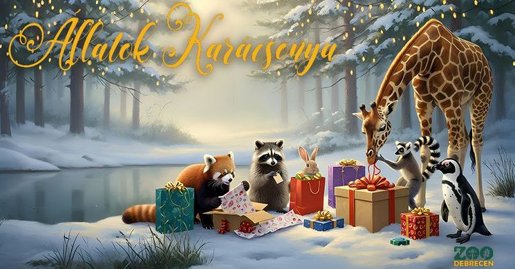 Állatok Karácsonya Debrecen 2026