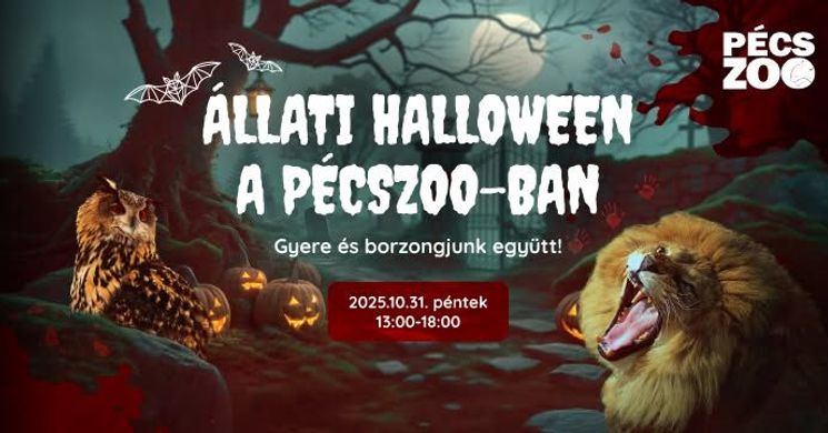 Pécsi állatkert Halloween 