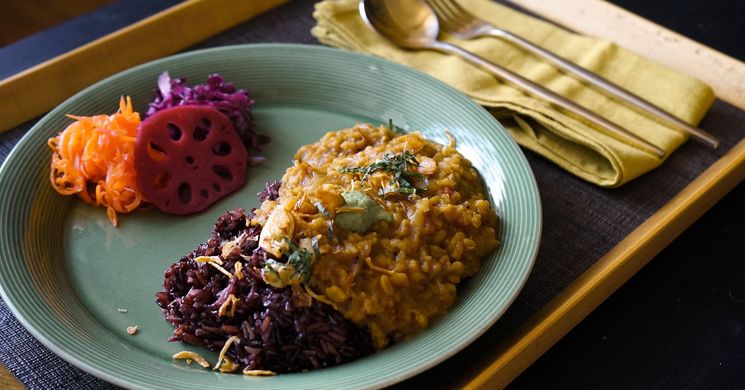 Vegán programok 2026