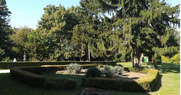 Tiszalöki parkerdő séta