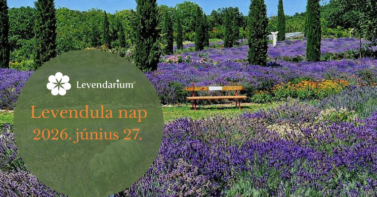 Levendárium Levendula Nap Dörgicse 2026