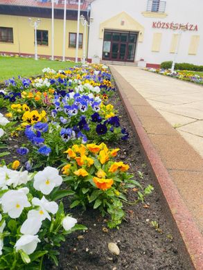 Csemő programok 2026 -  Események, rendezvények