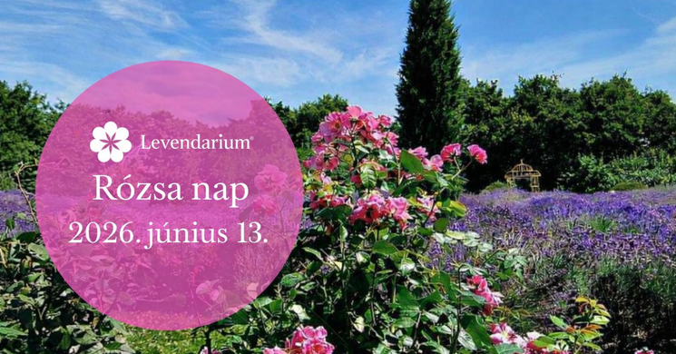 Levendárium Rózsa Nap 2026 Dörgicse