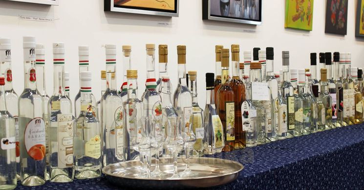 Pálinkaünnep 2026 Tiszakécske