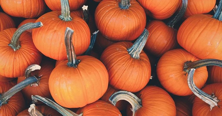 Halloween Kaposvár 2025. Programok, események, rendezvények