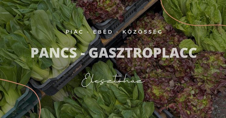 Pancs - Gasztroplacc események 2026 - Termelői Piac Budapest